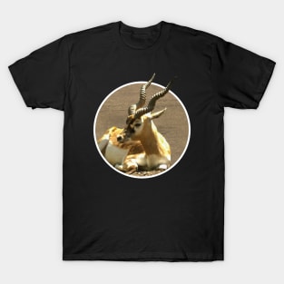 Blackbuck T-Shirt